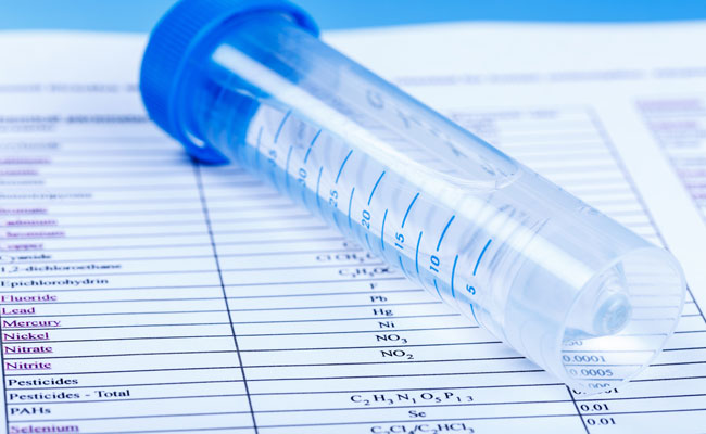 mold-inspection-service